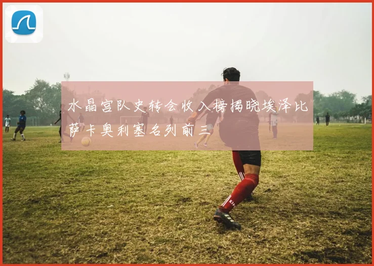 水晶宫队史转会收入榜揭晓埃泽比萨卡奥利塞名列前三