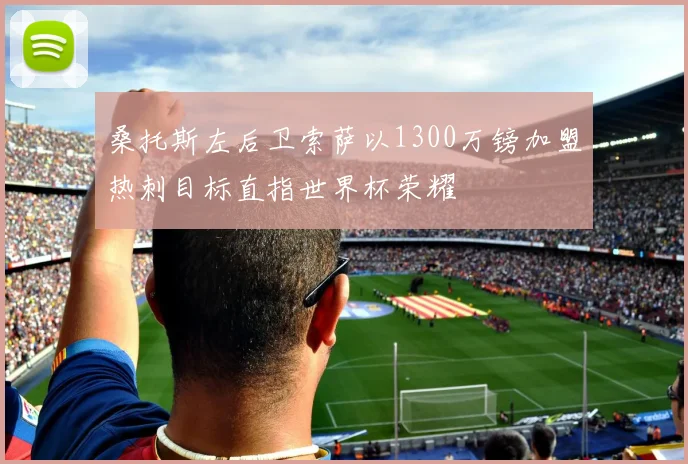 桑托斯左后卫索萨以1300万镑加盟热刺目标直指世界杯荣耀