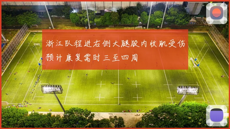 浙江队程进右侧大腿股内收肌受伤预计康复需时三至四周
